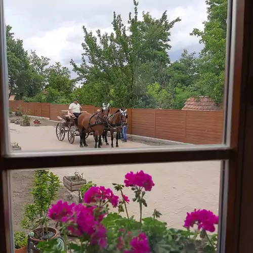 Napkirályfi Udvarház Tápiószőlő 015 kép