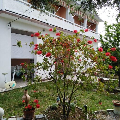 Apartmanok Parkolóhellyel Kampor, Rab - 17886 Kampor  4