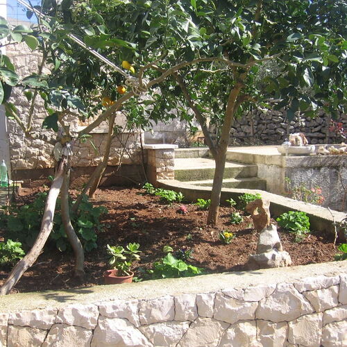 Apartmanok Parkolóhellyel Lumbarda, Korcula - 18037 Lumbarda  3