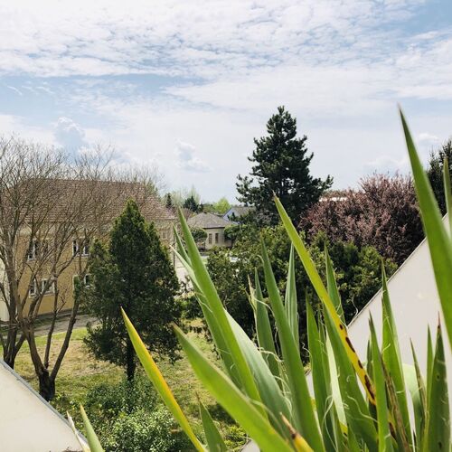 STAY Apartman Balatonboglár  4