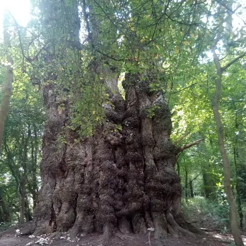 Fekete Gólya Pihenőház Baja 007 kép