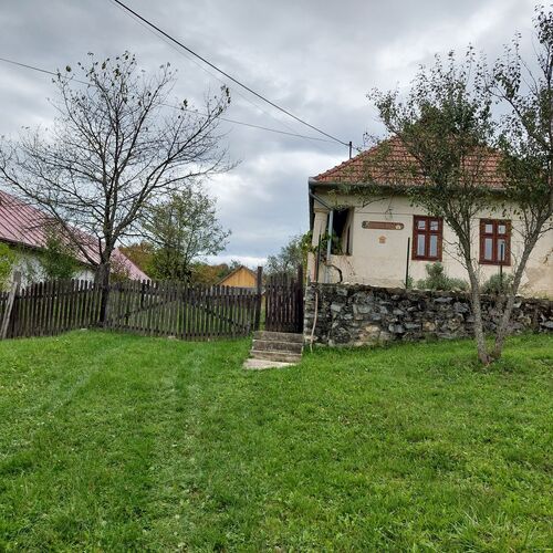 Utcai kép