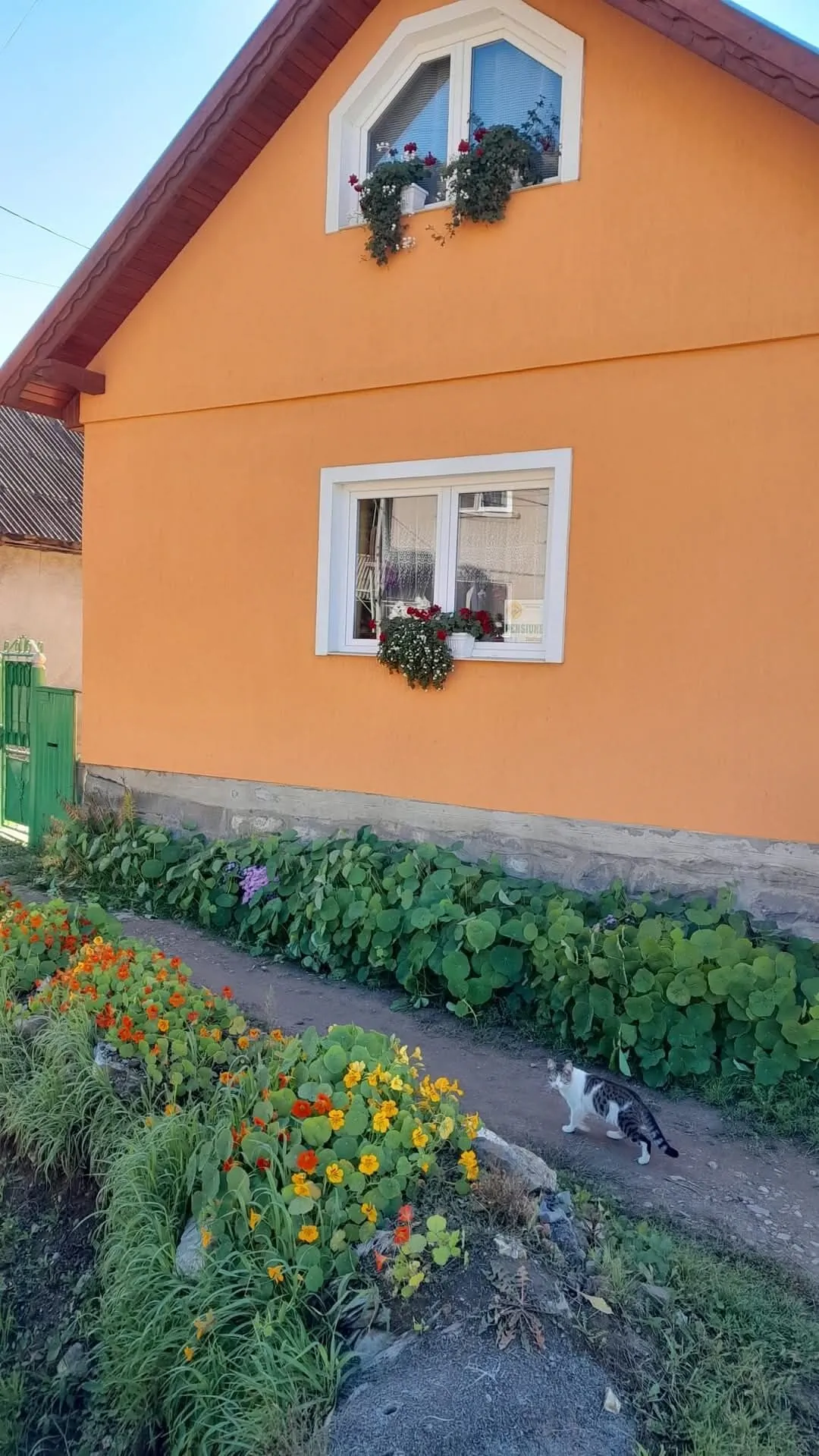 Nagy Ildik&oacute; vend&eacute;gh&aacute;z 