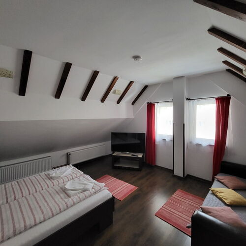 Camera dubla cu canapea extensibila și baie proprie Apartament Mansarda Maradu
