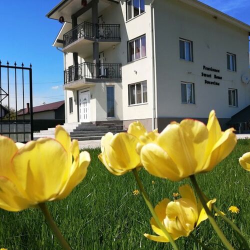 Pensiunea Sweet Home Bucovina Frasin