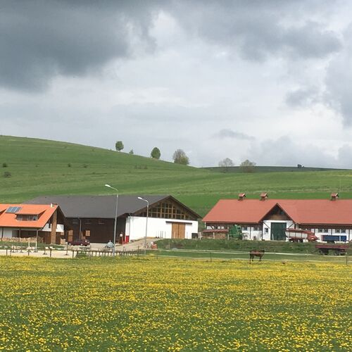 Centrul de echitație 