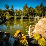 Centru Wellness, relaxare