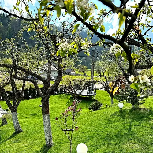 cazare-colibita-casa-lipan-gradina.jpg