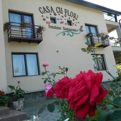 Pensiunea Casa cu Flori Cisnădioara