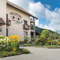 Pensiunea Casa cu Flori Cisnădioara