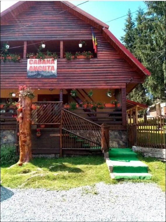 Cabana Ancuța Vârtop