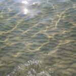 Wellness részleg, relaxáció