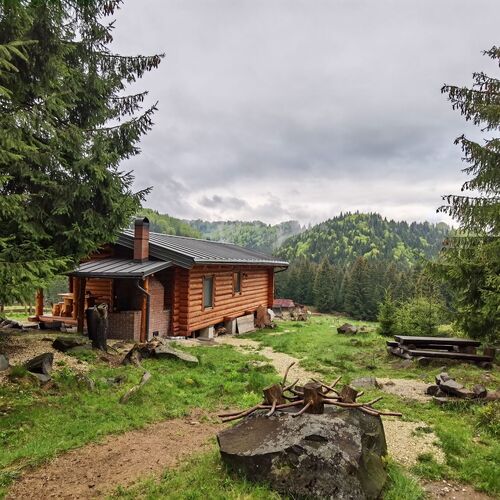 Cabana Paulownia Budești