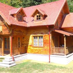 Vila Wood House Slănic Moldova