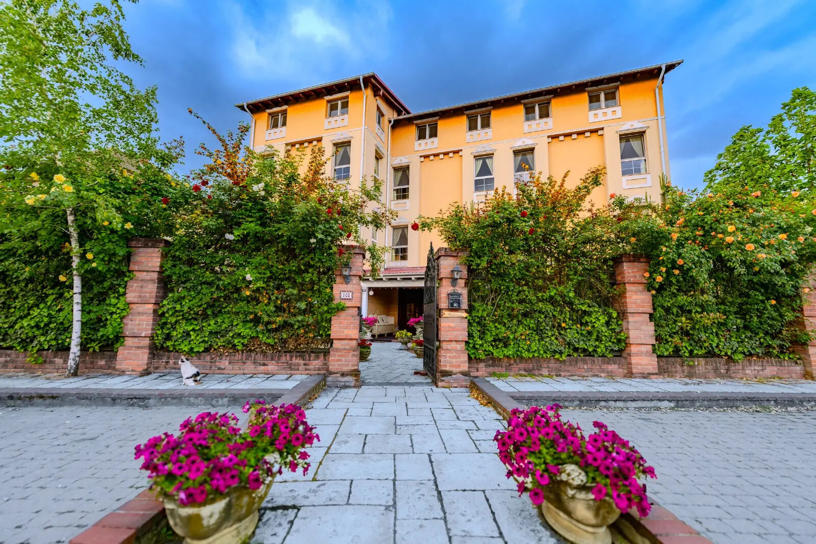 Hotel Casa de la Rosa Timișoara