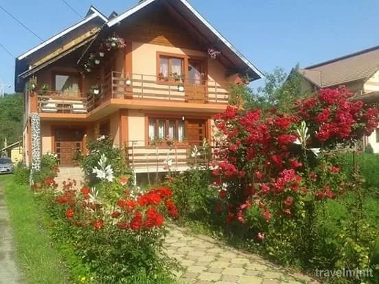 Pensiunea Nopți de Vara Căpățânenii Pământeni