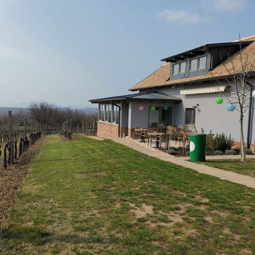 A Zöld Ajtós Ház Balatonlelle  4