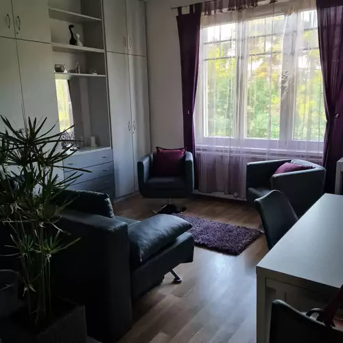 Aranycsillag Family Apartman Balatonfüred 010 kép