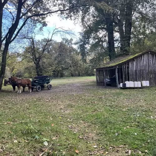 Sziget Hotel Veránka Érsekcsanád 031 kép