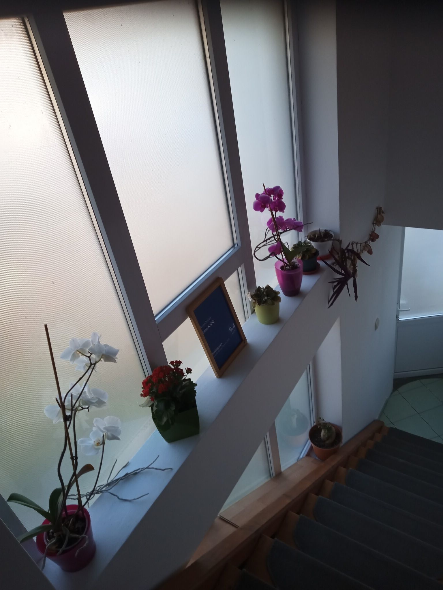 Casa Judith Turda