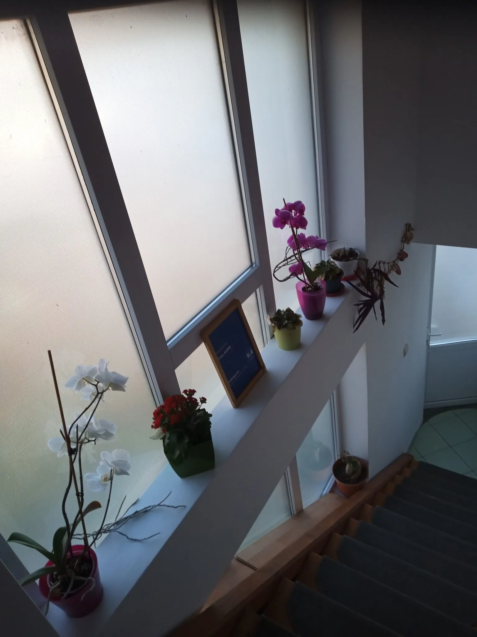 Casa Judith Turda