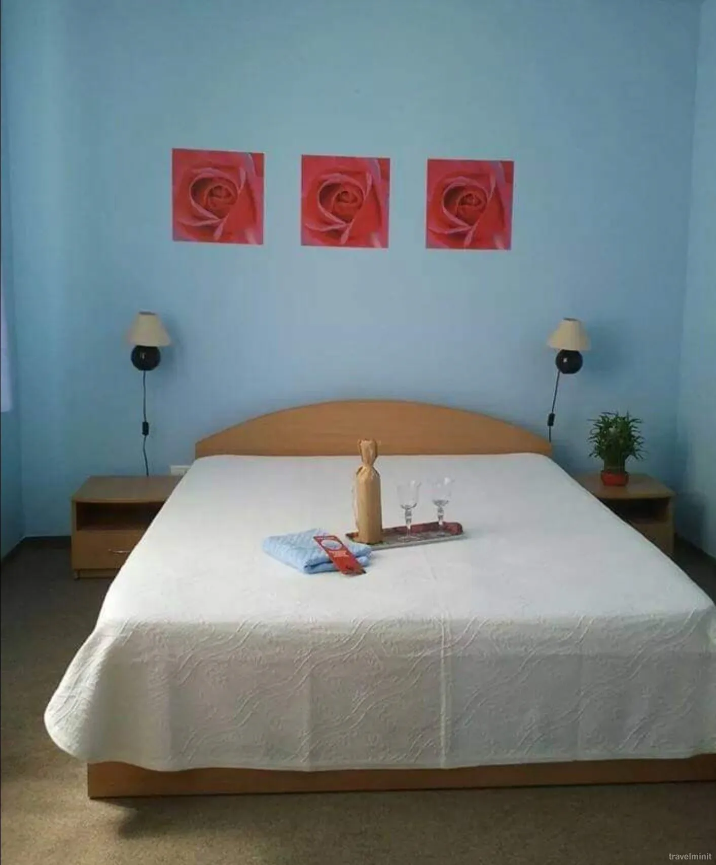 Pensiunea Coca Băile Felix