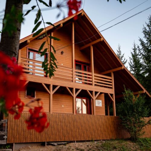 Pensiunea Pepe Sub Cetate