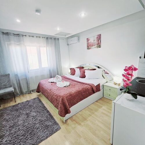 Pensiunea Red Rose Timișoara