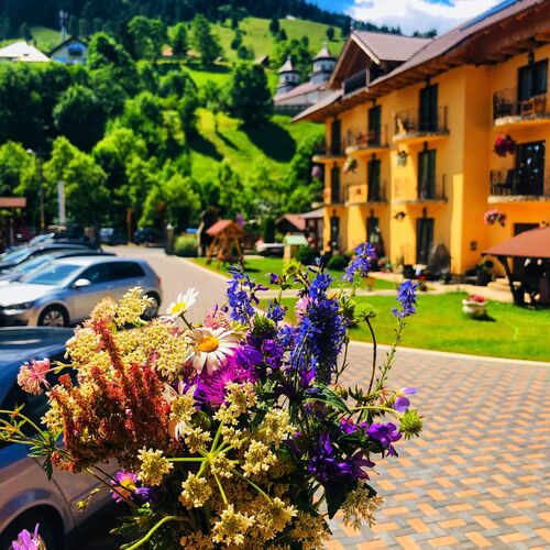 Pensiunea Roua Dimineții Moieciu de Sus