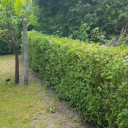Tavasz Apartman Balatonfenyves  4