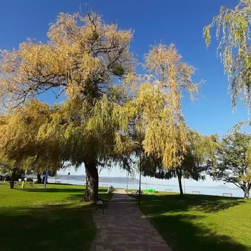 Elizabet Apartman Balatonmáriafürdő 018 kép