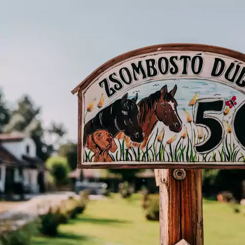 Forgó Lovastanya Pirtó 002 kép