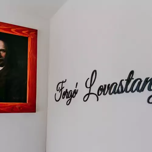 Forgó Lovastanya Pirtó 006 kép