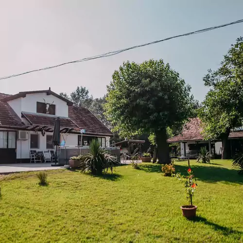 Forgó Lovastanya Pirtó 008 kép