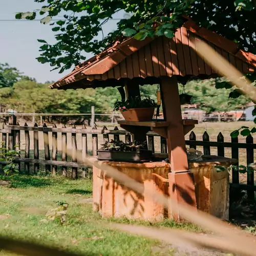 Forgó Lovastanya Pirtó 010 kép