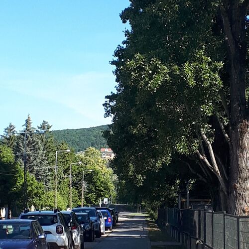 Otthon Kilátással Apartman Csopak  4