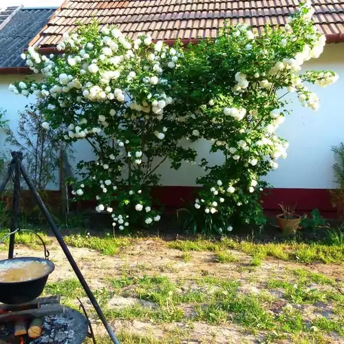 Hajdu Lovasudvar Hortobágy 005 kép