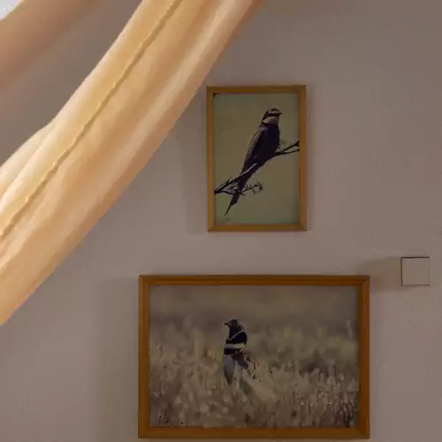 Hajdu Lovasudvar Hortobágy 017 kép
