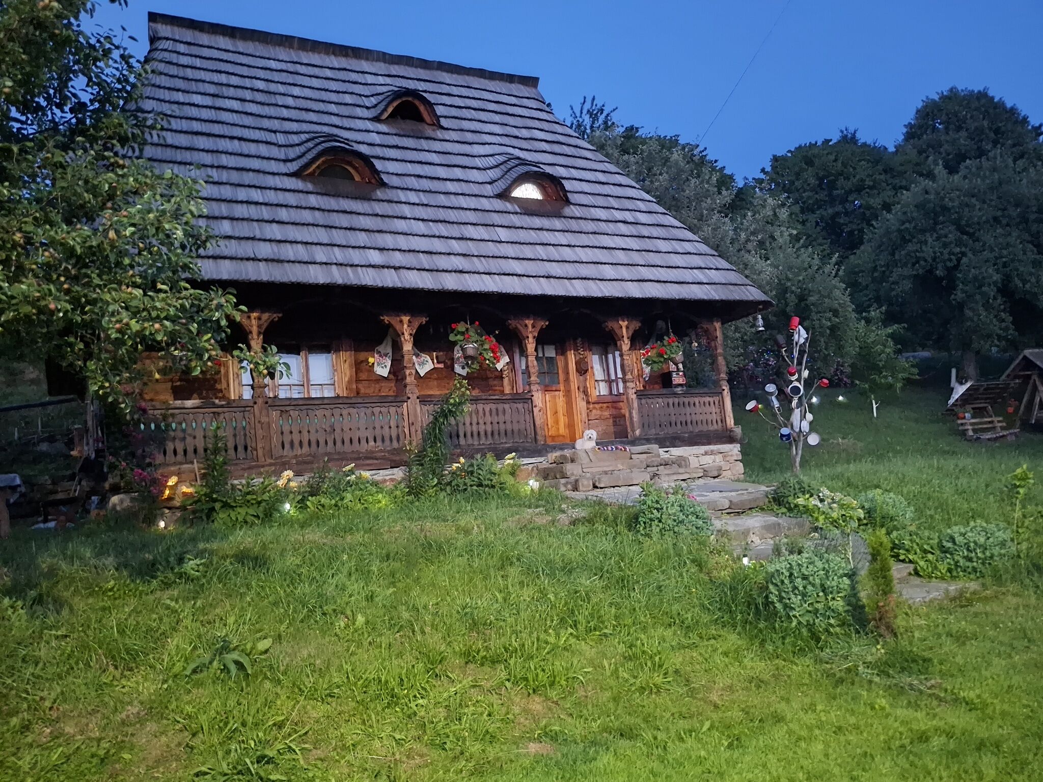 Pensiunea La Gorgan Vadu Izei