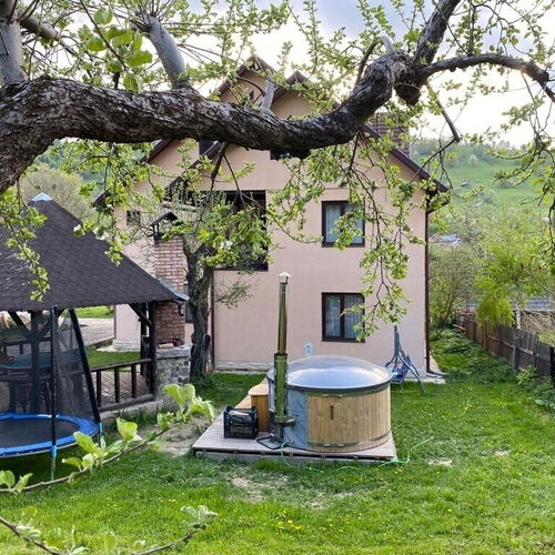 Pensiunea Monica Șimon