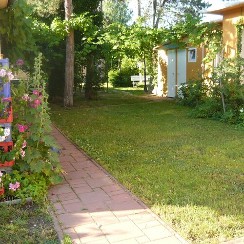 út a kert felé