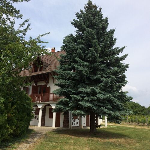 pARTvonal Apartmanház Balatongyörök  4