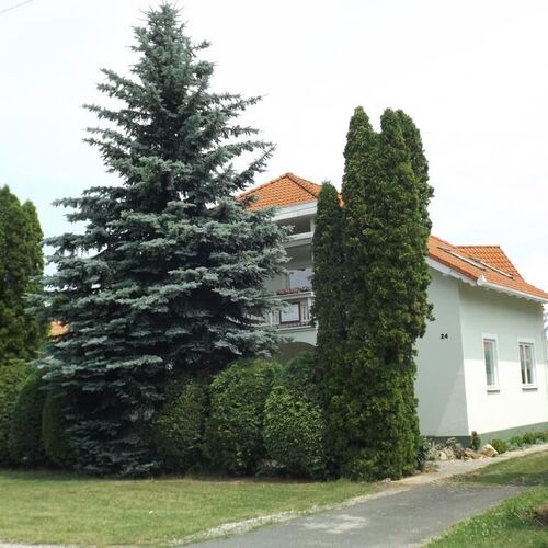 Hévízi Fecske Fészek Vendégház Hévíz  2