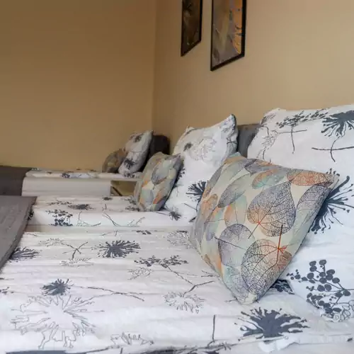 Bazaltorgona Apartman Kisapáti 024 kép