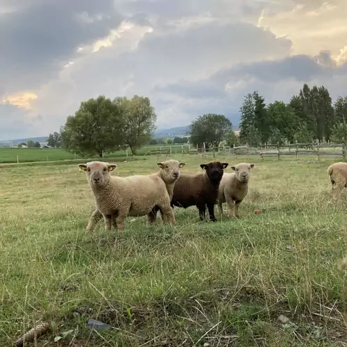 Kishosszúrét Vendégház Pécsvárad 022 kép