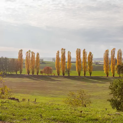 Kishosszúrét Vendégház Pécsvárad 041 kép