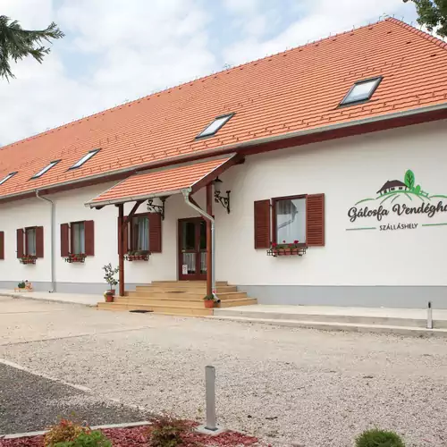 Gálosfa Vendégház Gálosfa 002 kép