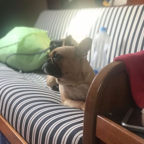 Vitorláshajó Apartman Balatonboglár  2