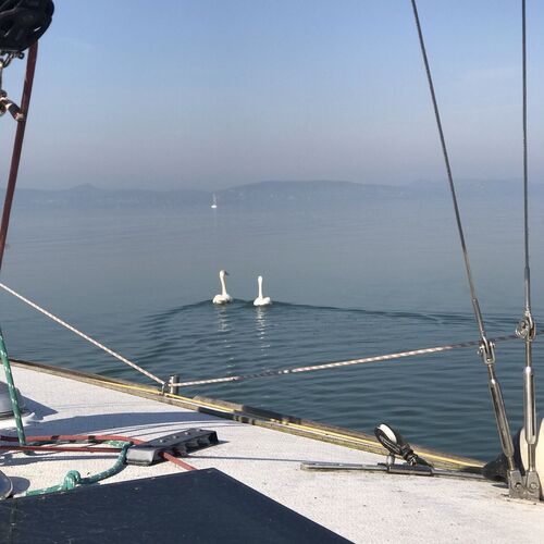 Vitorláshajó Apartman Balatonboglár  4