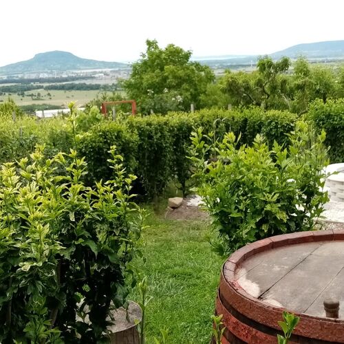 Szőlő-Hegy Vendégház Zalahaláp  4
